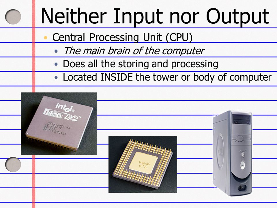 Neither Input nor Output Central Processing Unit (CPU) The main brain of the computer Does all the storing and processing Located INSIDE the tower or body of computer