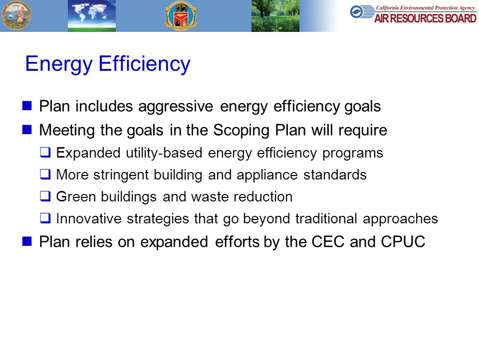 Energy Efficiency Plan includes aggressive energy efficiency goals Meeting the goals in the Scoping Plan will require  Expanded utility-based energy efficiency programs  More stringent building and appliance standards  Green buildings and waste reduction  Innovative strategies that go beyond traditional approaches Plan relies on expanded efforts by the CEC and CPUC