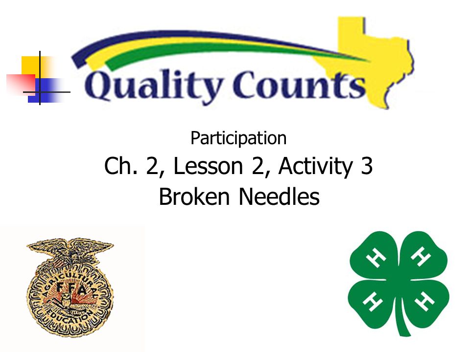 Participation Ch. 2, Lesson 2, Activity 3 Broken Needles