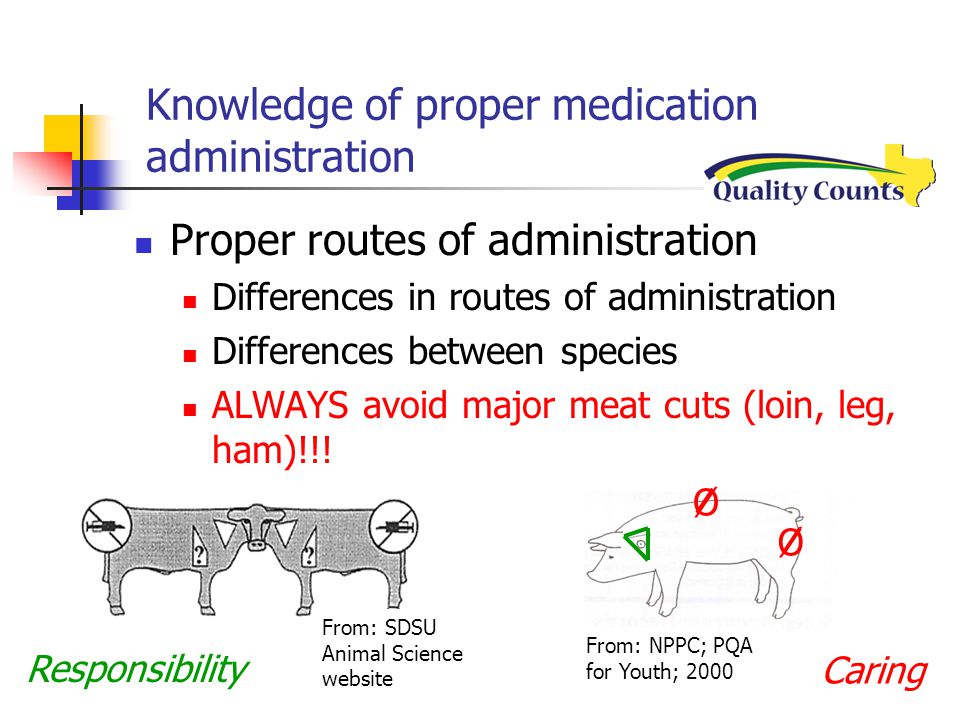 Knowledge of proper medication administration Proper routes of administration Differences in routes of administration Differences between species ALWAYS avoid major meat cuts (loin, leg, ham)!!.