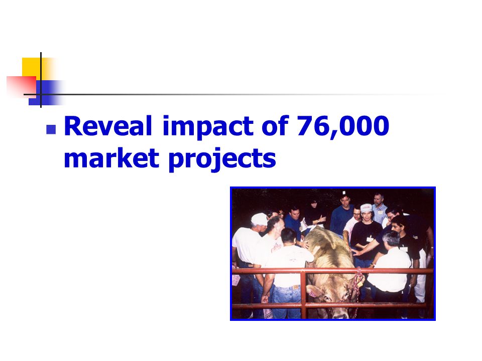 Reveal impact of 76,000 market projects