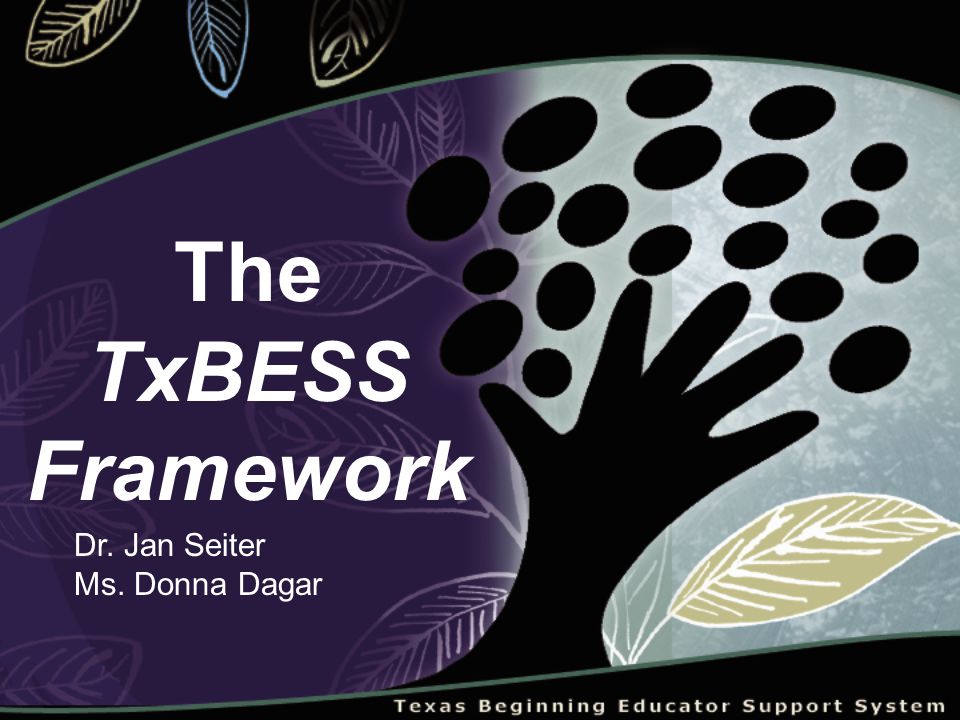 The TxBESS Framework Dr. Jan Seiter Ms. Donna Dagar
