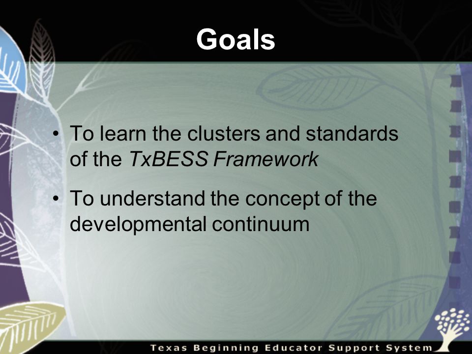 Goals To learn the clusters and standards of the TxBESS Framework To understand the concept of the developmental continuum