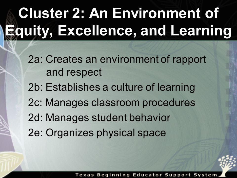 Cluster 2: An Environment of Equity, Excellence, and Learning 2a: Creates an environment of rapport and respect 2b: Establishes a culture of learning 2c: Manages classroom procedures 2d: Manages student behavior 2e: Organizes physical space