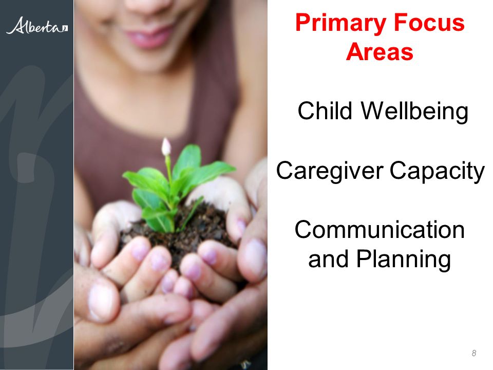 8 Primary Focus Areas Child Wellbeing Caregiver Capacity Communication and Planning