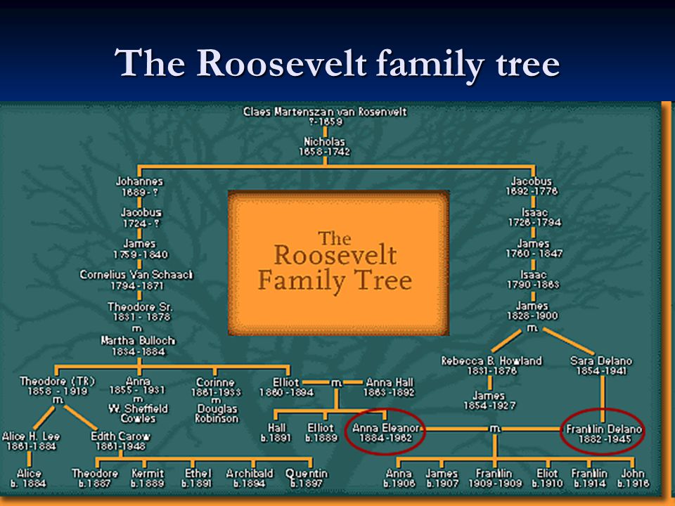 The Roosevelt family tree