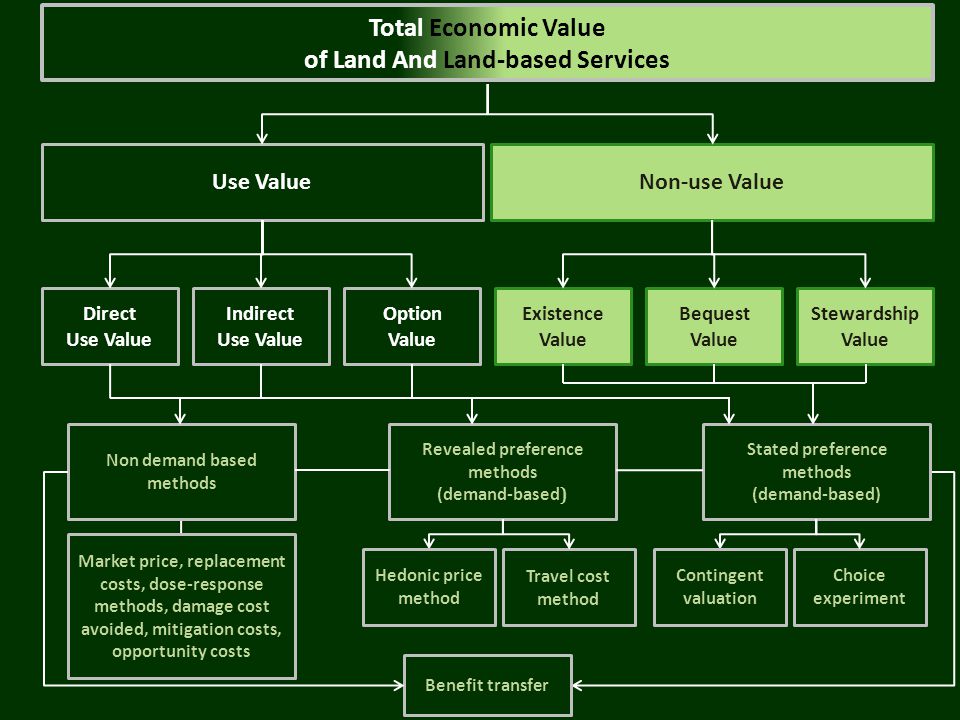 Use ValueNon-use Value Direct Use Value Indirect Use Value Stewardship Value Bequest Value Existence Value Option Value Non demand based methods Revealed preference methods (demand-based ) Stated preference methods (demand-based) Hedonic price method Contingent valuation Travel cost method Choice experiment Benefit transfer Market price, replacement costs, dose-response methods, damage cost avoided, mitigation costs, opportunity costs Total Economic Value of Land And Land-based Services