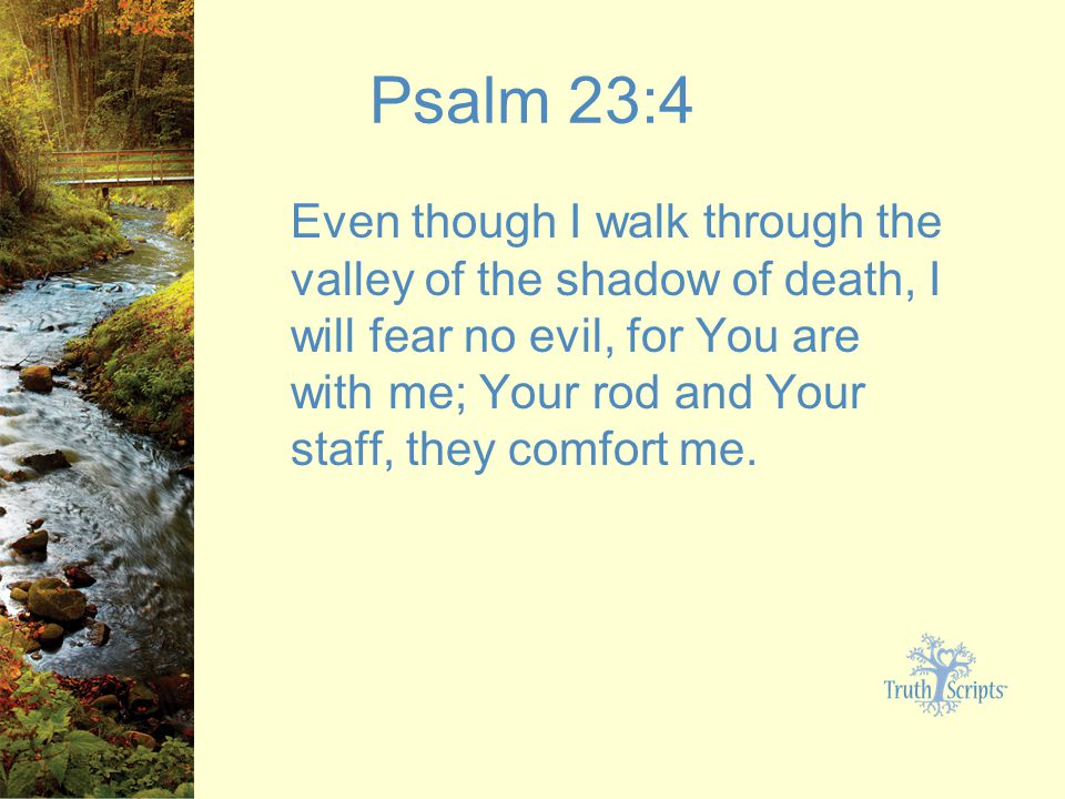 Psalm 23:4 Even though I walk through the valley of the shadow of death, I will fear no evil, for You are with me; Your rod and Your staff, they comfort me.