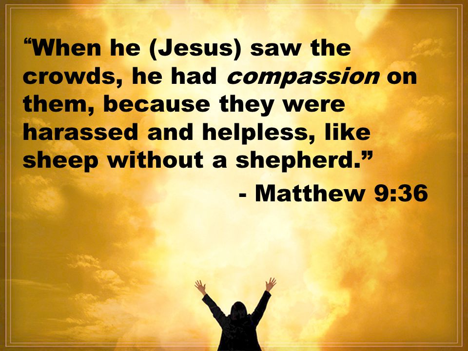 When he (Jesus) saw the crowds, he had compassion on them, because they were harassed and helpless, like sheep without a shepherd. - Matthew 9:36