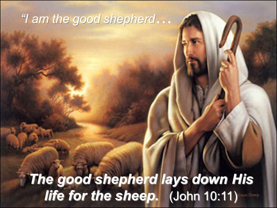 The good shepherd lays down His life for the sheep. (John 10:11)
