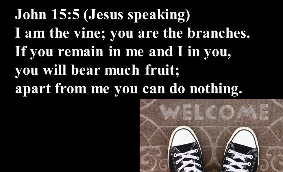 John 15:5 (Jesus speaking) I am the vine; you are the branches.
