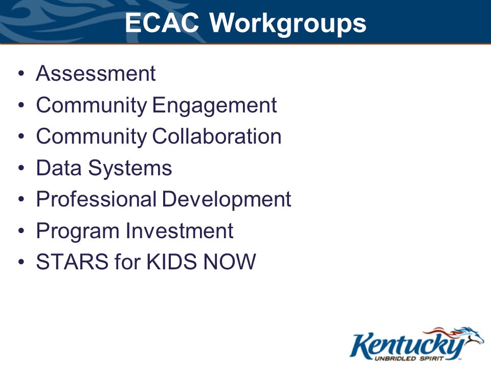 ECAC Workgroups Assessment Community Engagement Community Collaboration Data Systems Professional Development Program Investment STARS for KIDS NOW