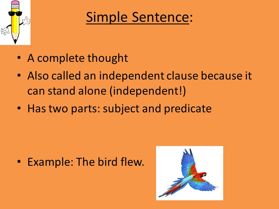 Simple Sentence: A complete thought Also called an independent clause because it can stand alone (independent!) Has two parts: subject and predicate Example: The bird flew.