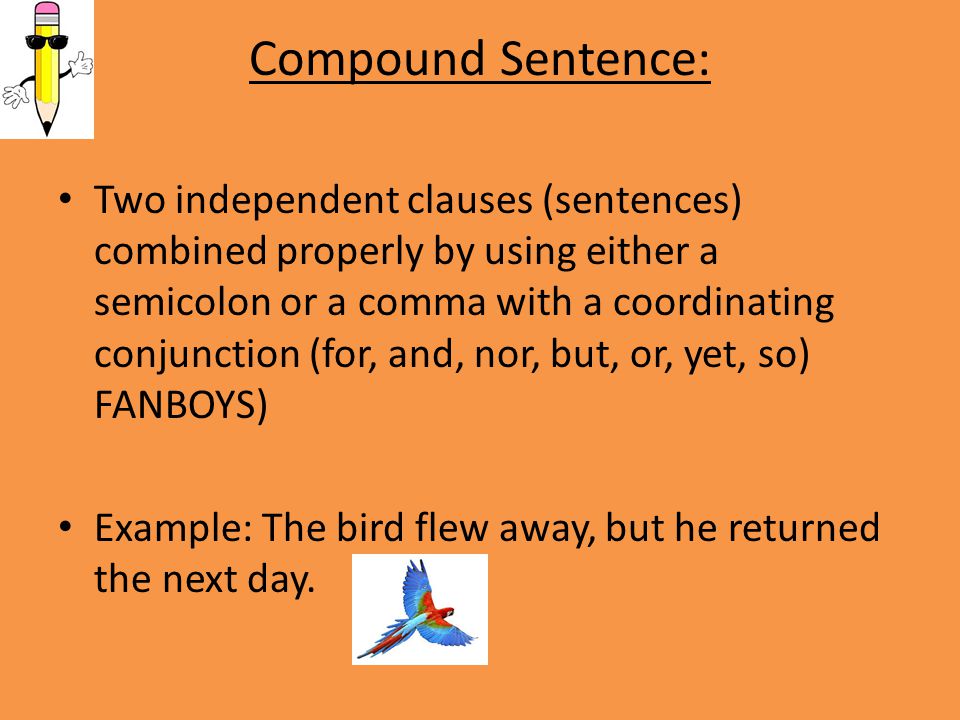 Compound Sentence: Two independent clauses (sentences) combined properly by using either a semicolon or a comma with a coordinating conjunction (for, and, nor, but, or, yet, so) FANBOYS) Example: The bird flew away, but he returned the next day.