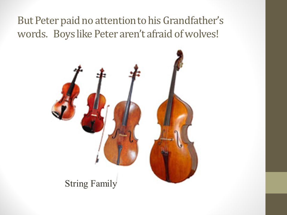 But Peter paid no attention to his Grandfather’s words.