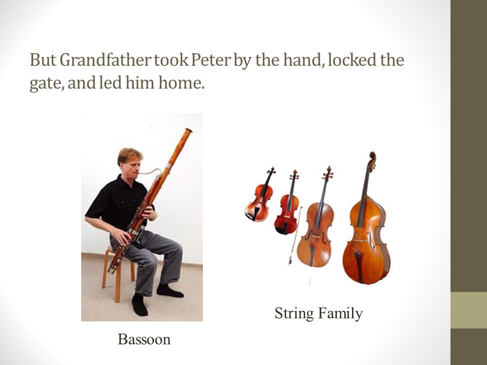 But Grandfather took Peter by the hand, locked the gate, and led him home. String Family Bassoon