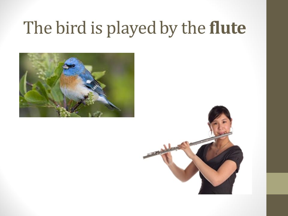 The bird is played by the flute