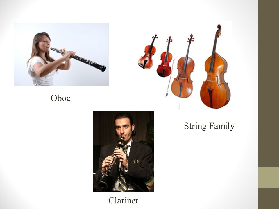 String Family Oboe Clarinet