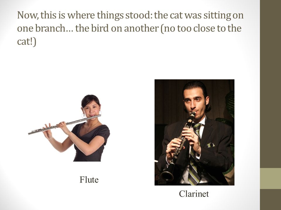 Now, this is where things stood: the cat was sitting on one branch… the bird on another (no too close to the cat!) Flute Clarinet