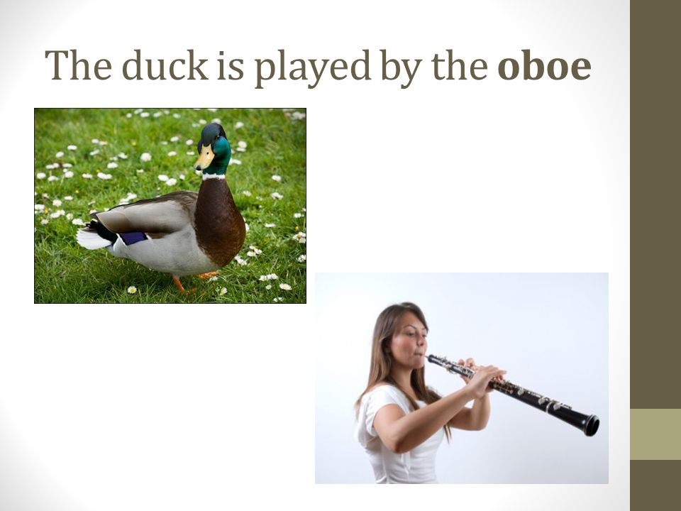 The duck is played by the oboe