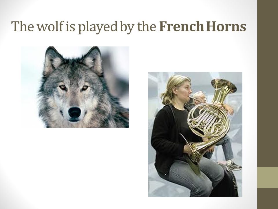 The wolf is played by the French Horns