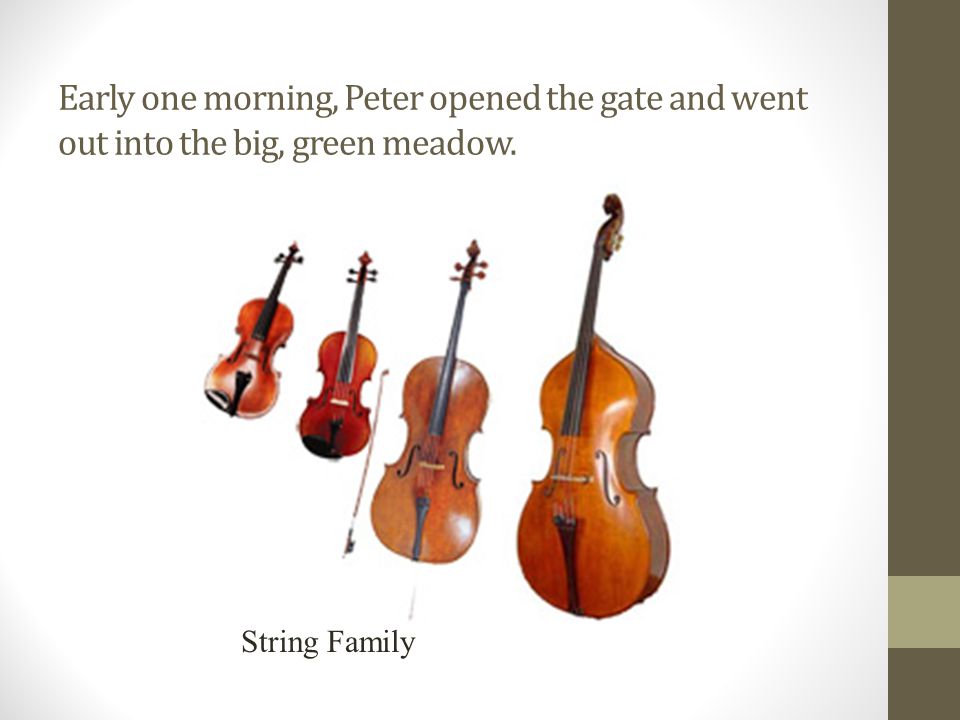 Early one morning, Peter opened the gate and went out into the big, green meadow. String Family
