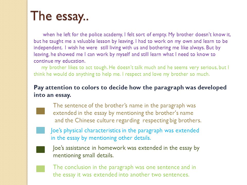 the independent variable essay the independent variable essay