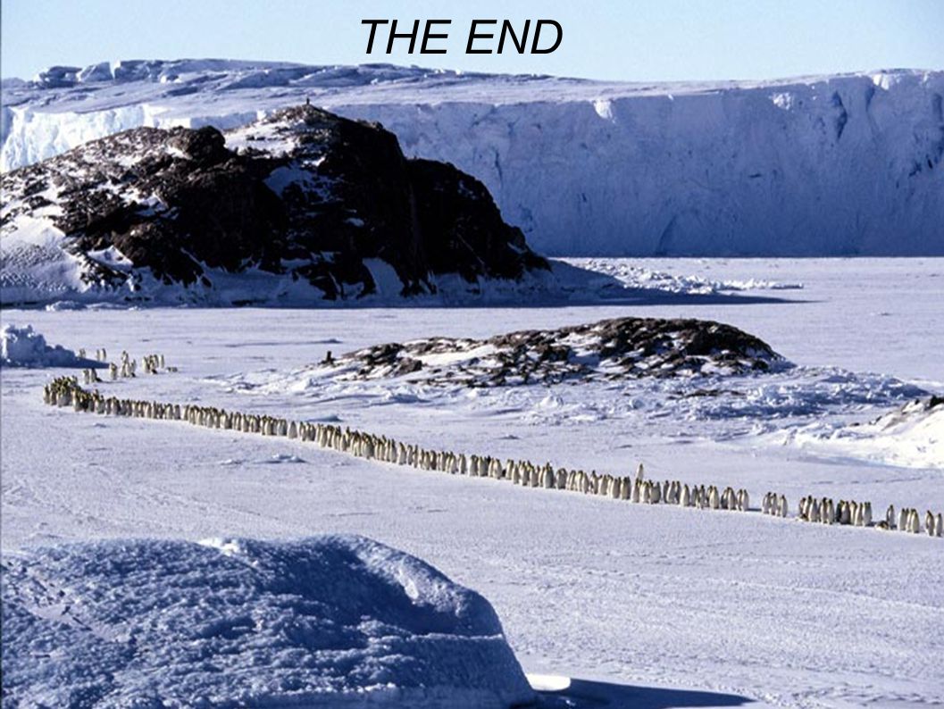 THE END.