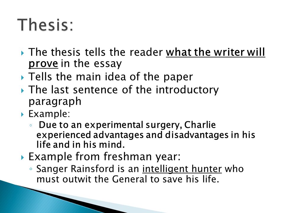 what should the last sentence of an essay be what should the last sentence of an essay be