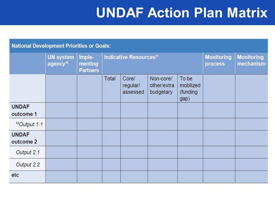 UNDAF Action Plan Matrix