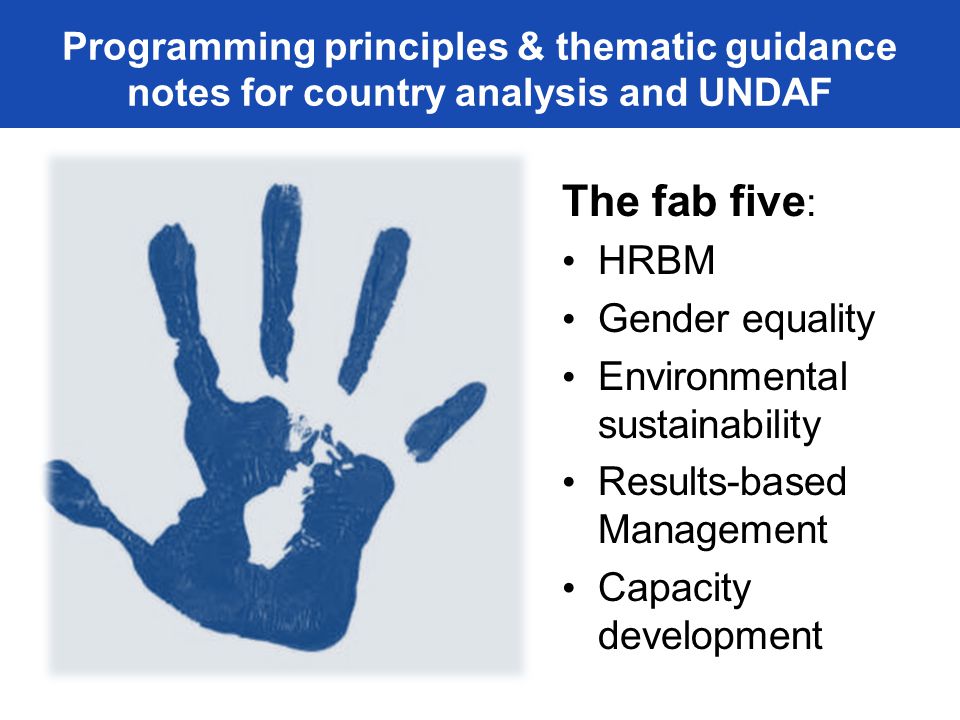 The fab five : HRBM Gender equality Environmental sustainability Results-based Management Capacity development Programming principles & thematic guidance notes for country analysis and UNDAF