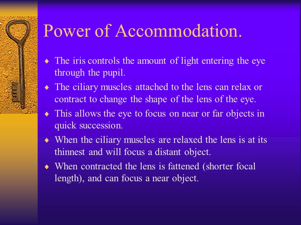 Power of Accommodation.  The iris controls the amount of light entering the eye through the pupil.