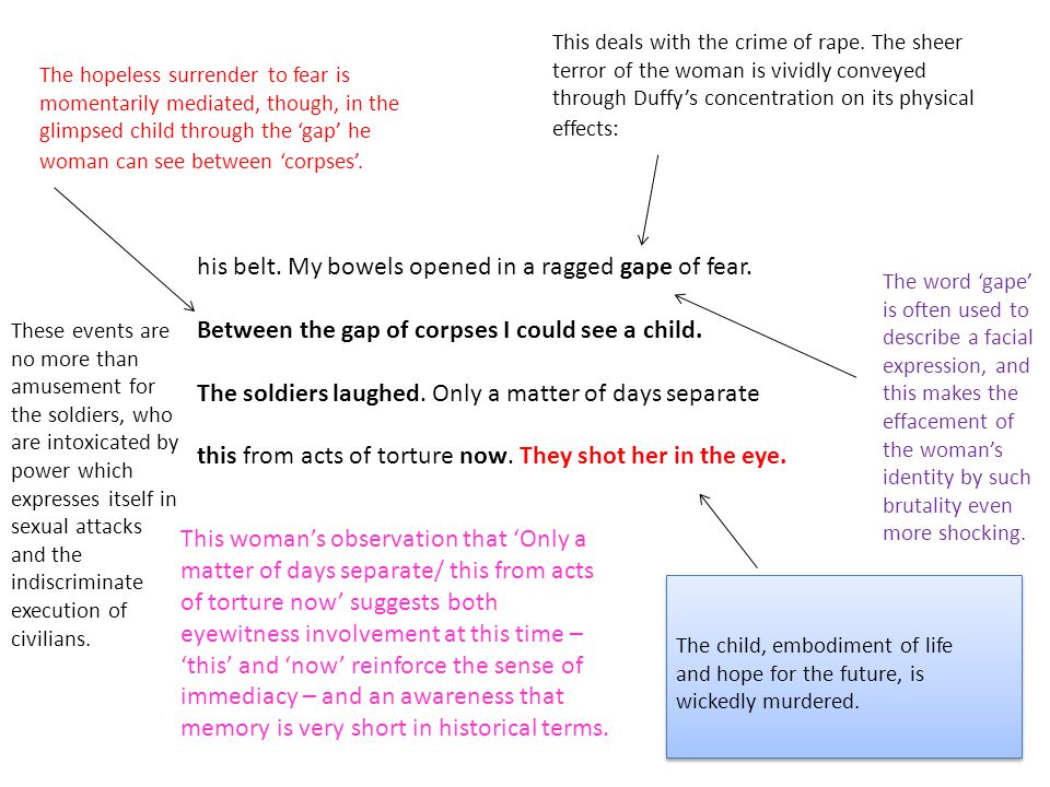 observing stars essay observing stars essay