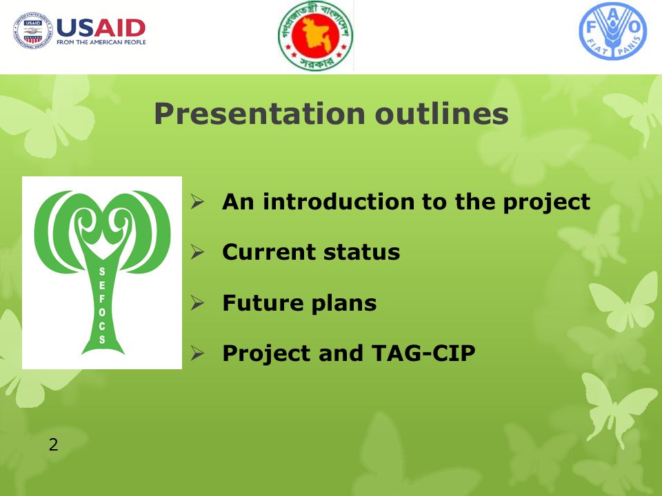 Presentation outlines  An introduction to the project  Current status  Future plans  Project and TAG-CIP 2