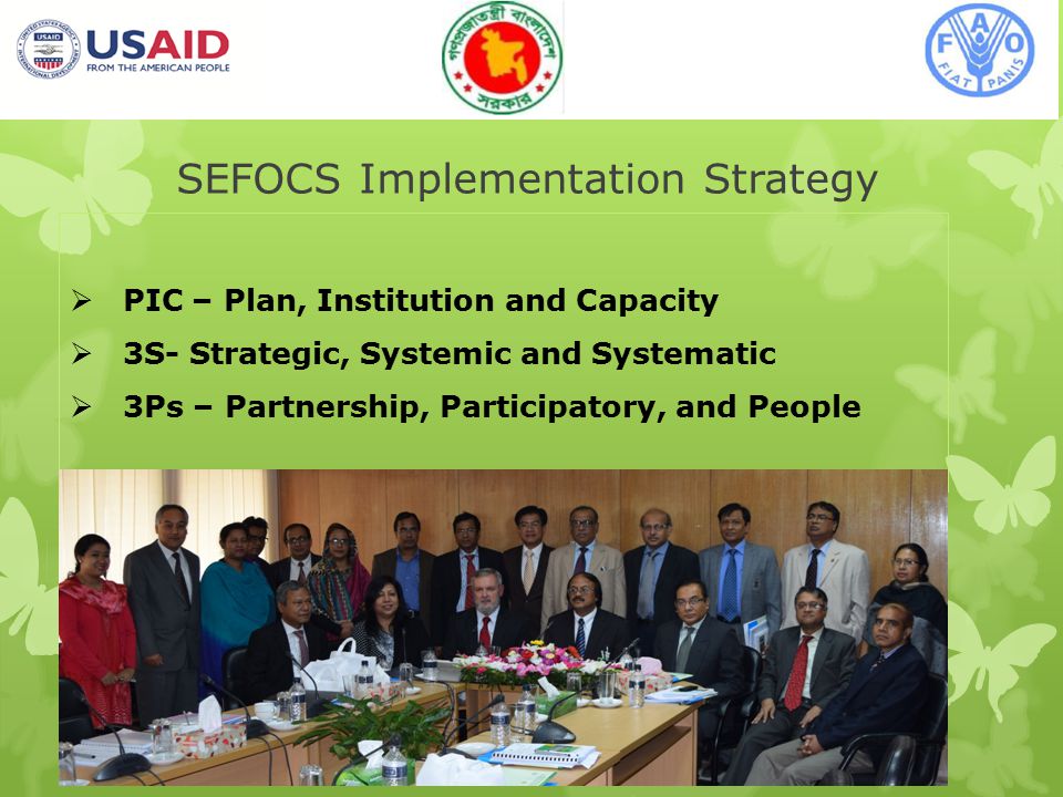 SEFOCS Implementation Strategy 8  PIC – Plan, Institution and Capacity  3S- Strategic, Systemic and Systematic  3Ps – Partnership, Participatory, and People