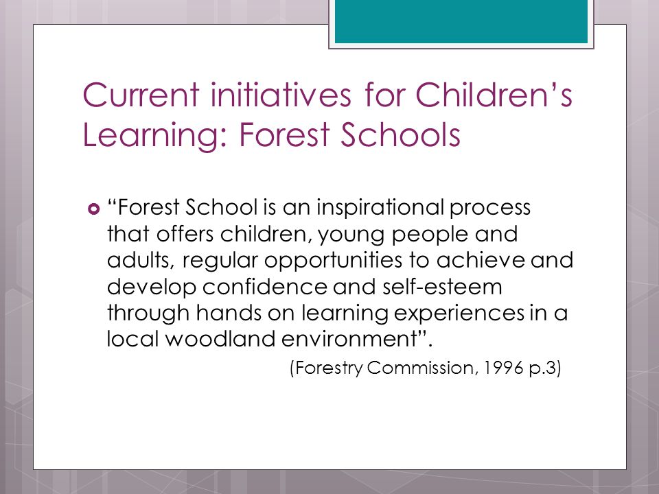 Current initiatives for Children’s Learning: Forest Schools  Forest School is an inspirational process that offers children, young people and adults, regular opportunities to achieve and develop confidence and self-esteem through hands on learning experiences in a local woodland environment .