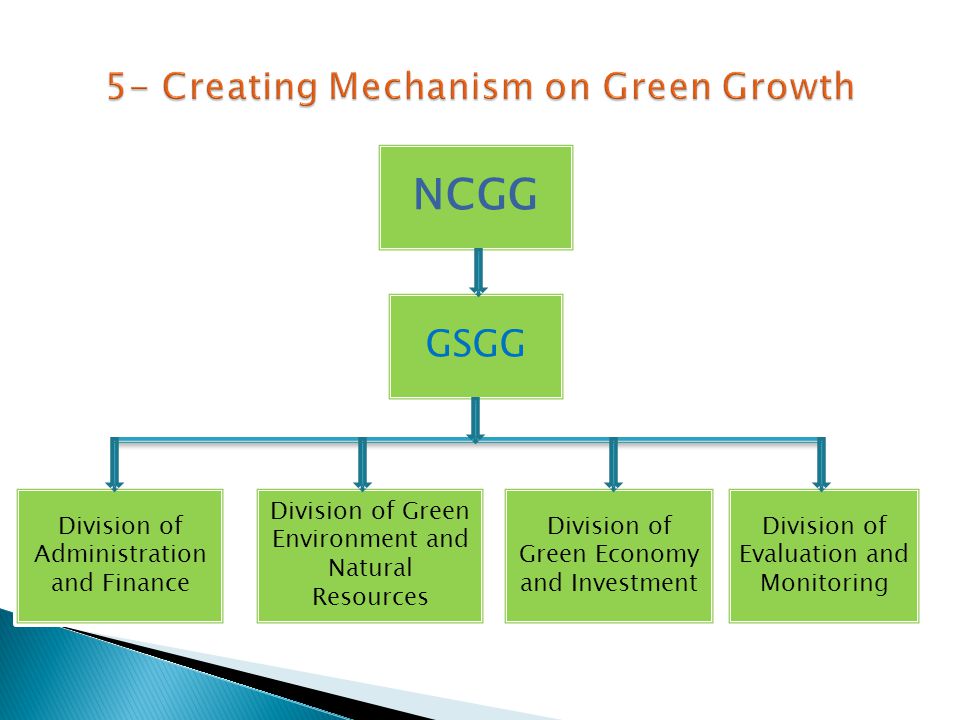 NCGG Division of Administration and Finance Division of Green Environment and Natural Resources Division of Green Economy and Investment Division of Evaluation and Monitoring GSGG