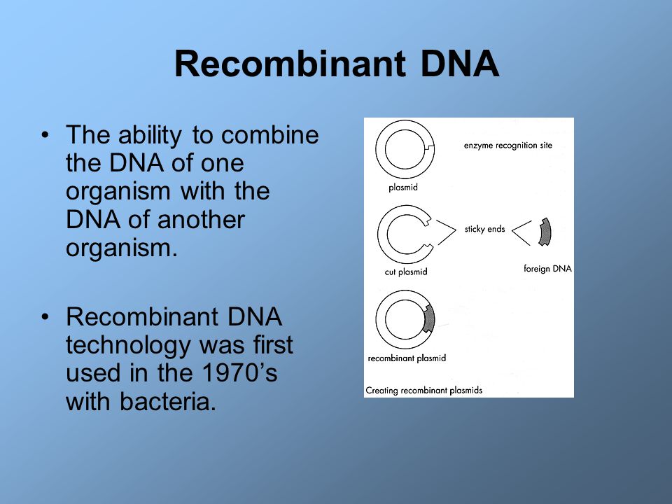 DNA