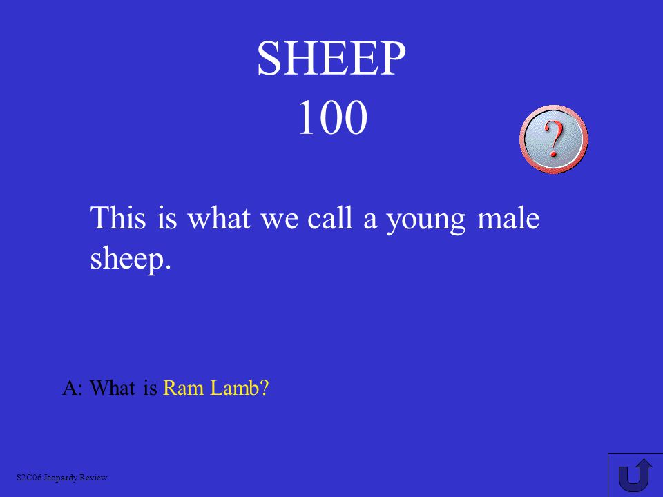 CATTLE 900 A: What is 9 Months S2C06 Jeopardy Review This is the length of gestation in cattle.