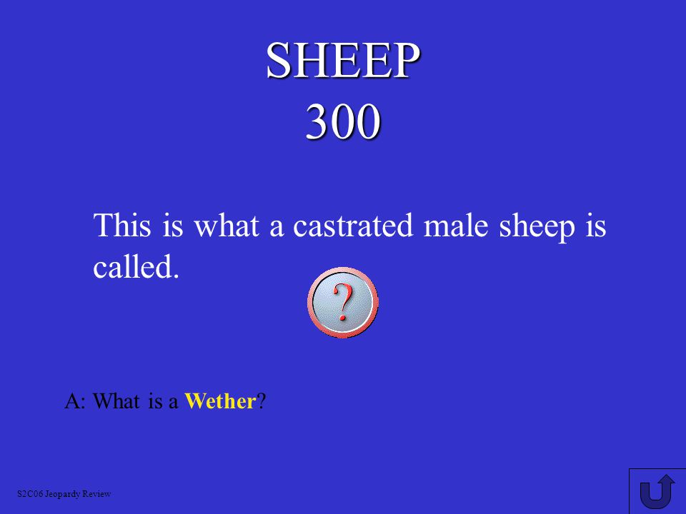 A: What is Lambing. S2C06 Jeopardy Review This is what we call it when a sheep gives birth.