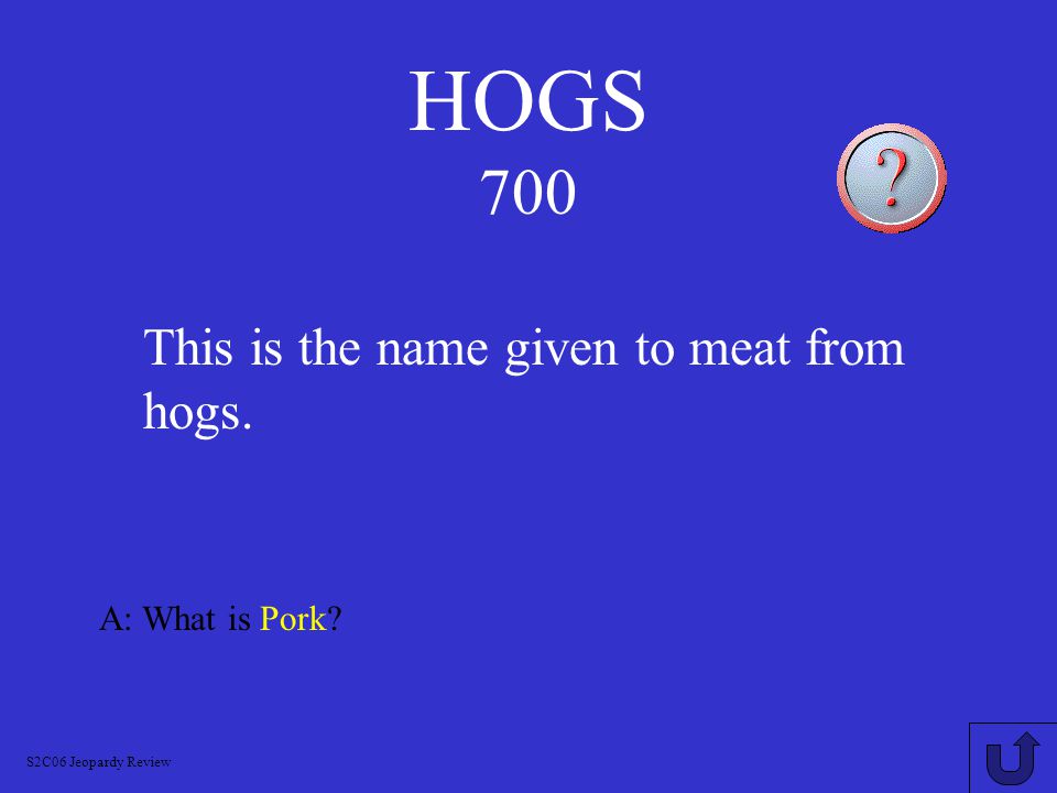 HOGS 600 A: What is a Sow.