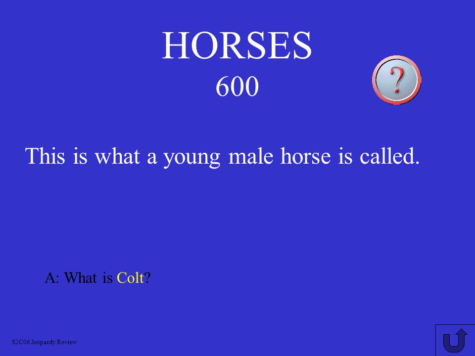 HORSES 500 A: What is Chevaline S2C06 Jeopardy Review This is what horse meat is called.