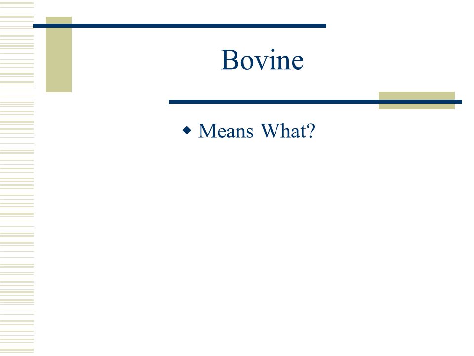 Bovine  Means What