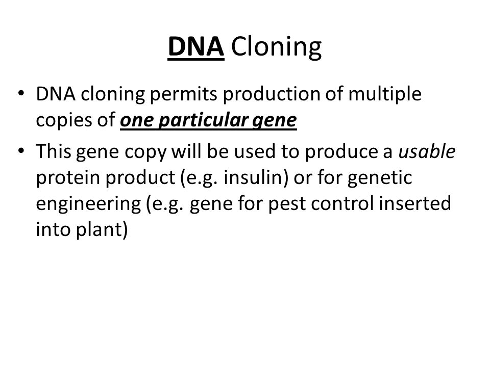 DNA Cloning DNA cloning permits production of multiple copies of one particular gene This gene copy will be used to produce a usable protein product (e.g.