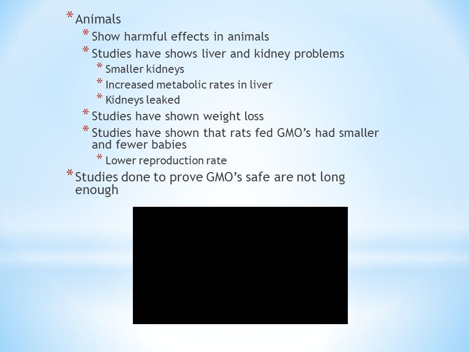 * Animals * Show harmful effects in animals * Studies have shows liver and kidney problems * Smaller kidneys * Increased metabolic rates in liver * Kidneys leaked * Studies have shown weight loss * Studies have shown that rats fed GMO’s had smaller and fewer babies * Lower reproduction rate * Studies done to prove GMO’s safe are not long enough