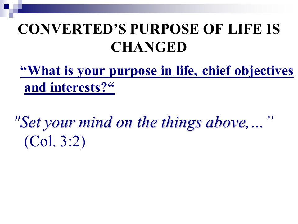 CONVERTED’S PURPOSE OF LIFE IS CHANGED What is your purpose in life, chief objectives and interests Set your mind on the things above Set your mind on the things above,… (Col.