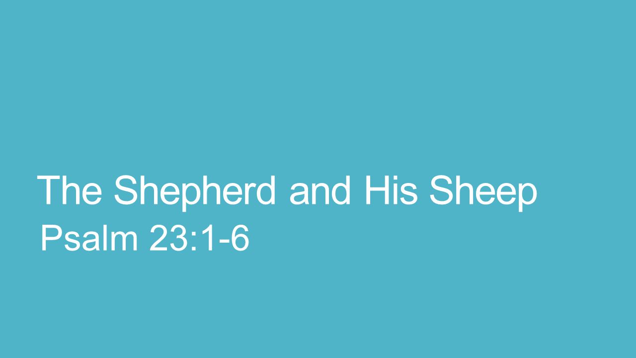 The Shepherd and His Sheep Psalm 23:1-6