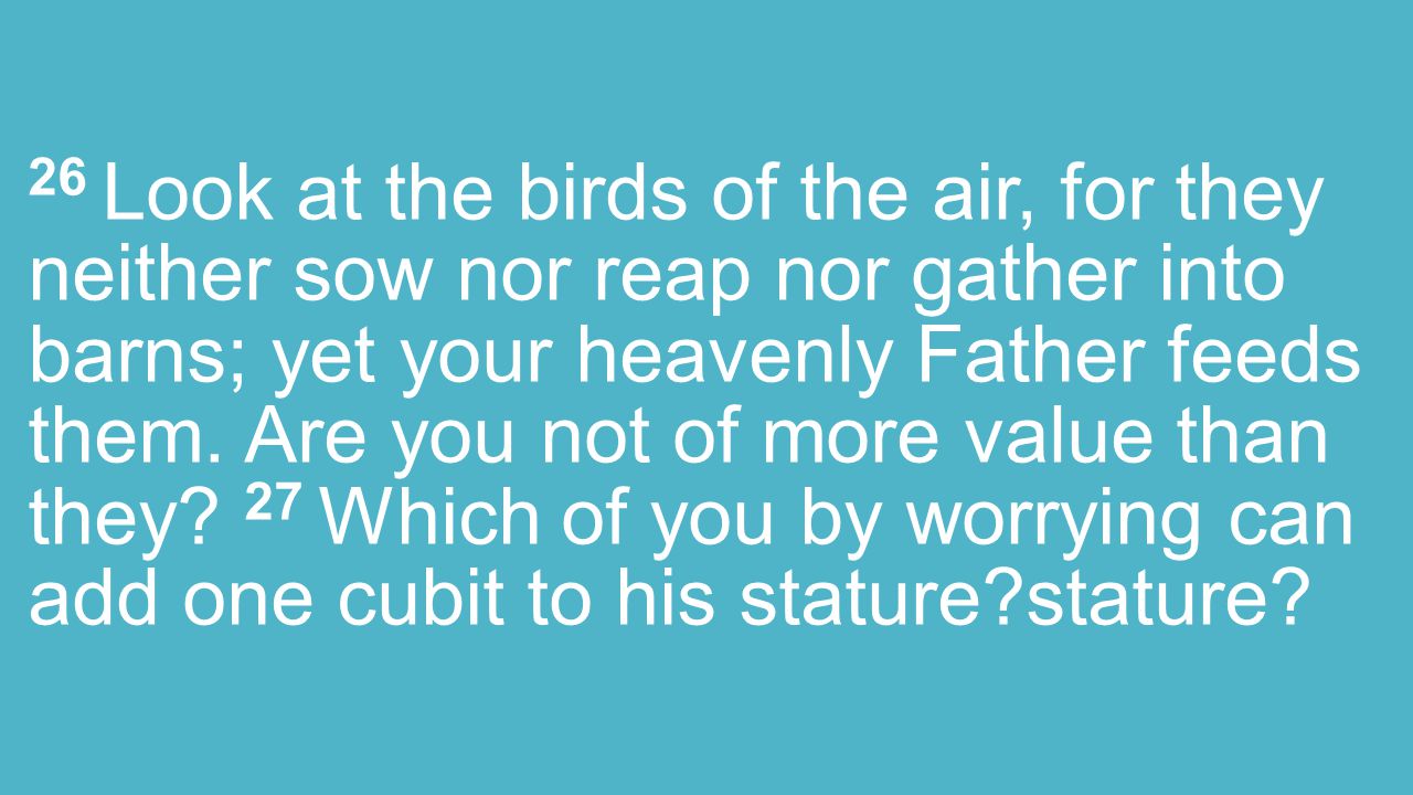 26 Look at the birds of the air, for they neither sow nor reap nor gather into barns; yet your heavenly Father feeds them.