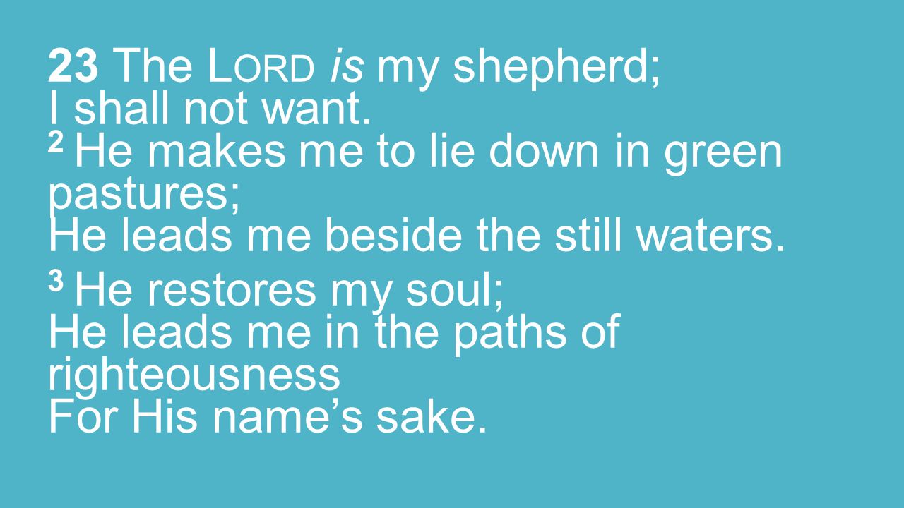 23 The L ORD is my shepherd; I shall not want.
