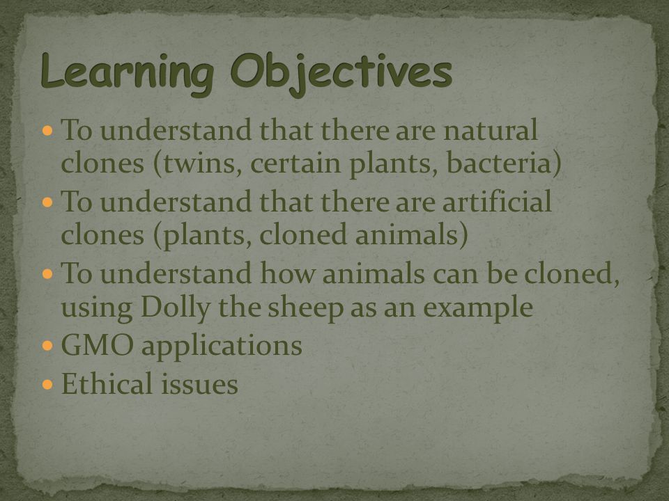 To understand that there are natural clones (twins, certain plants, bacteria) To understand that there are artificial clones (plants, cloned animals) To understand how animals can be cloned, using Dolly the sheep as an example GMO applications Ethical issues